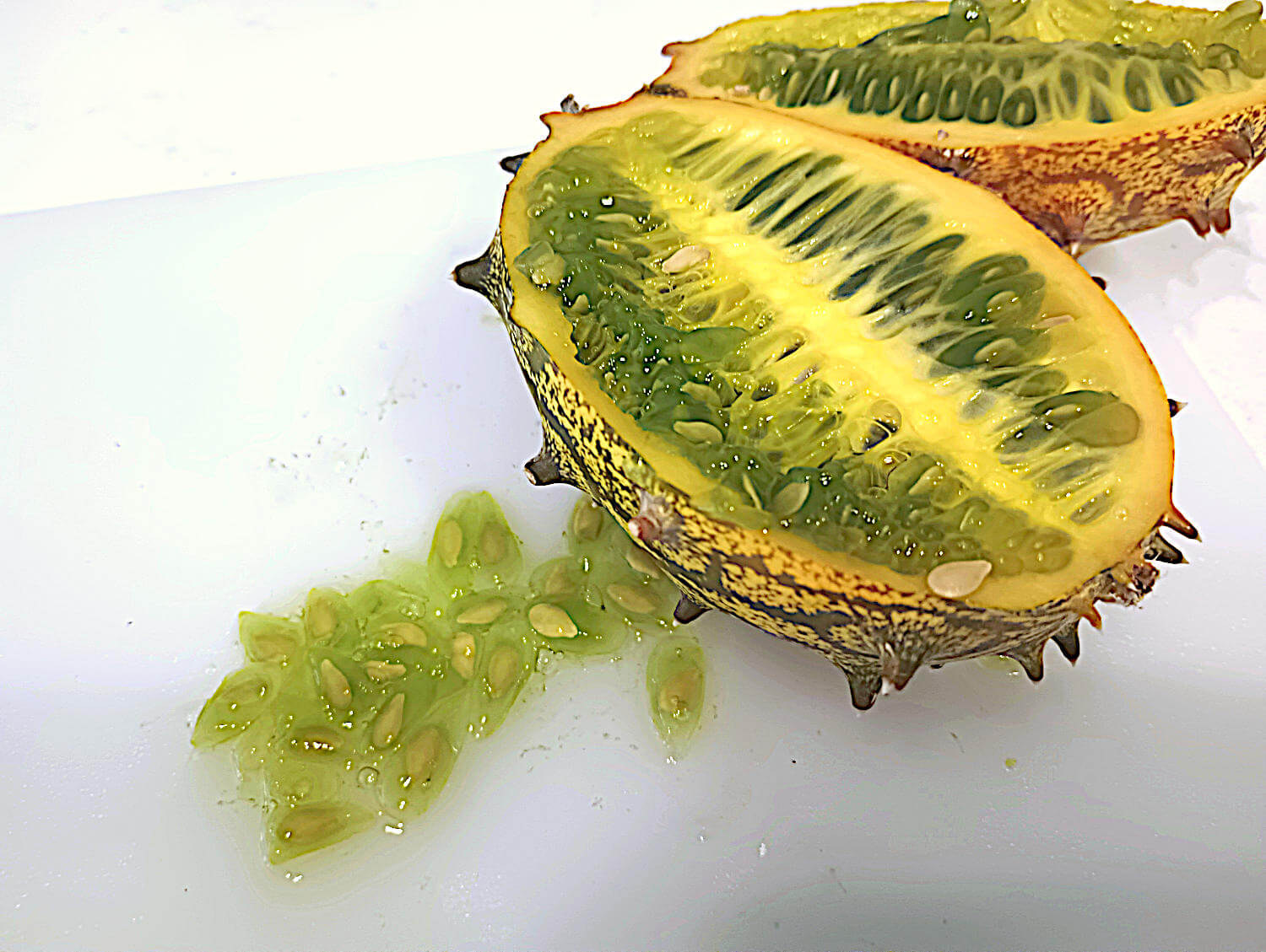 Kiwano Jelly Melon Seeds Seven Oaks Market