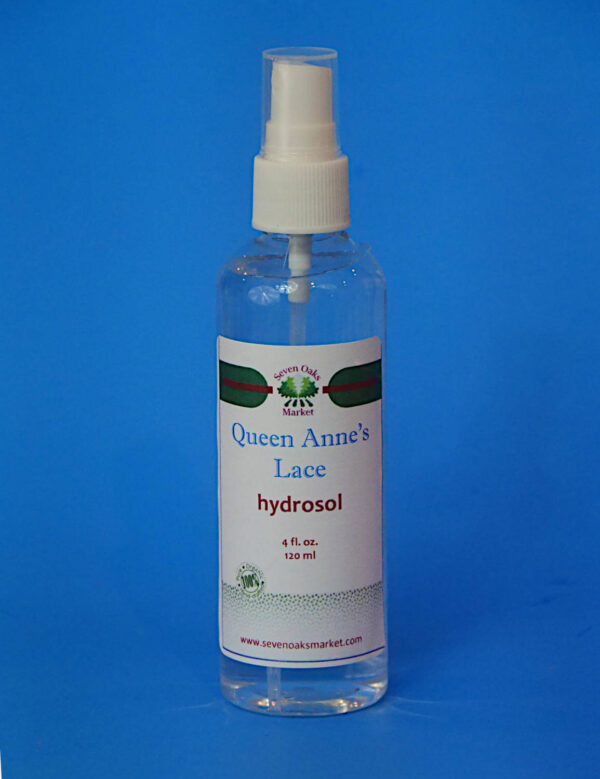 queen anne's lace hydrosol