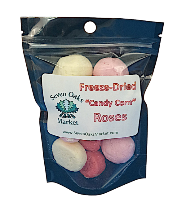 freeze dried candy corn roses - small