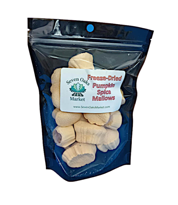 freeze dried pumpkin spice marshmallows - small bag
