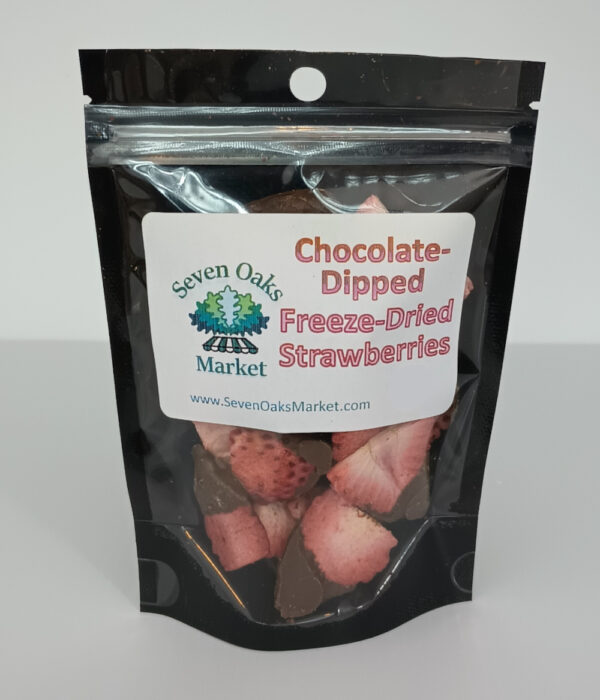 chocolate-dipped freeze dried strawberries - small bag