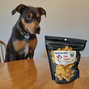 Healthy Dog Treats
